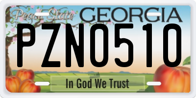 GA license plate PZN0510