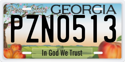 GA license plate PZN0513