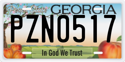 GA license plate PZN0517