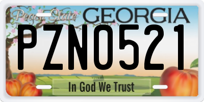 GA license plate PZN0521