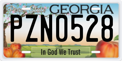 GA license plate PZN0528
