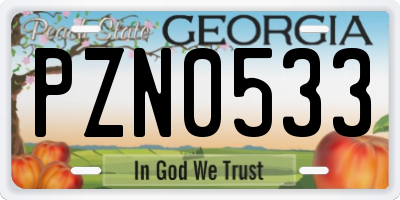 GA license plate PZN0533