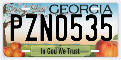GA license plate PZN0535