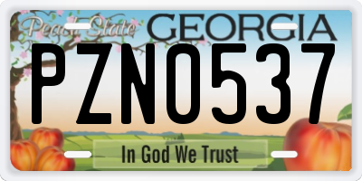 GA license plate PZN0537