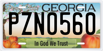 GA license plate PZN0560