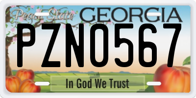 GA license plate PZN0567