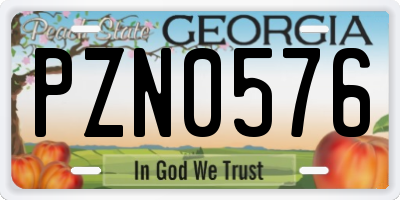 GA license plate PZN0576