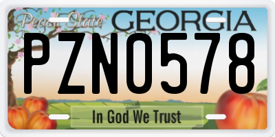GA license plate PZN0578