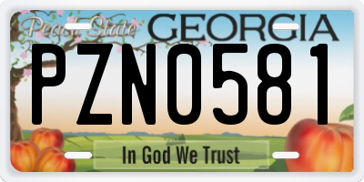 GA license plate PZN0581