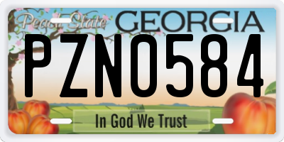 GA license plate PZN0584