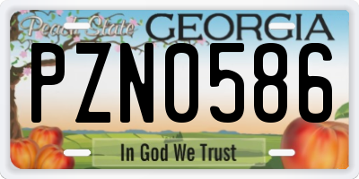 GA license plate PZN0586