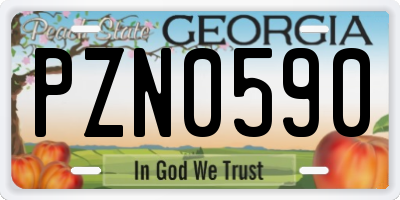 GA license plate PZN0590