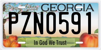 GA license plate PZN0591