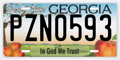 GA license plate PZN0593