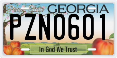 GA license plate PZN0601