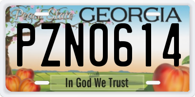 GA license plate PZN0614