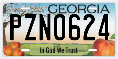 GA license plate PZN0624