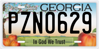 GA license plate PZN0629