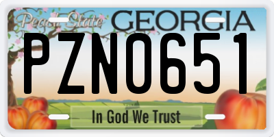 GA license plate PZN0651