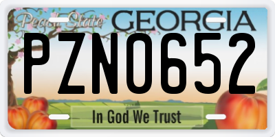 GA license plate PZN0652