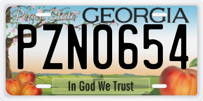 GA license plate PZN0654
