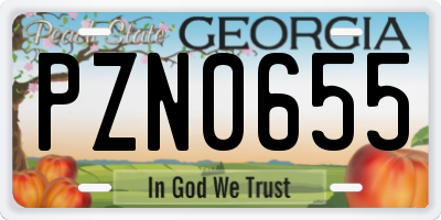 GA license plate PZN0655