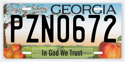 GA license plate PZN0672