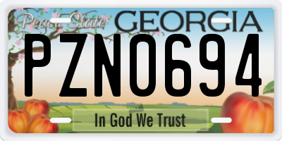 GA license plate PZN0694