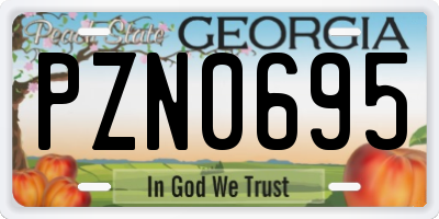 GA license plate PZN0695