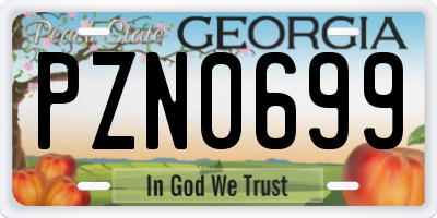 GA license plate PZN0699