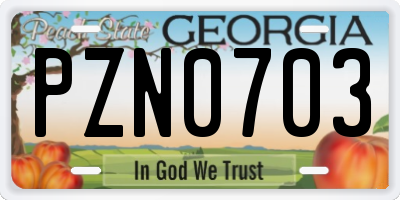 GA license plate PZN0703