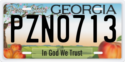 GA license plate PZN0713