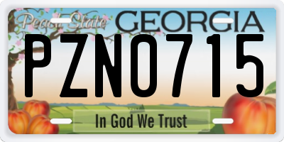 GA license plate PZN0715