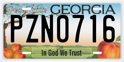 GA license plate PZN0716