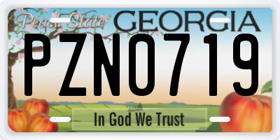 GA license plate PZN0719