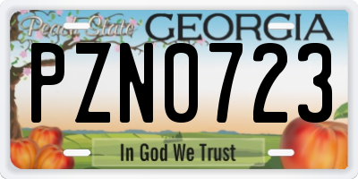 GA license plate PZN0723