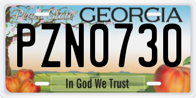 GA license plate PZN0730