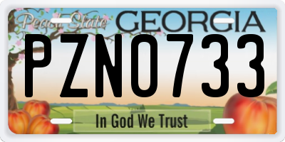 GA license plate PZN0733