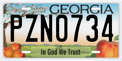GA license plate PZN0734
