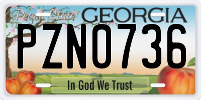 GA license plate PZN0736
