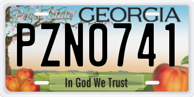 GA license plate PZN0741