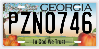 GA license plate PZN0746