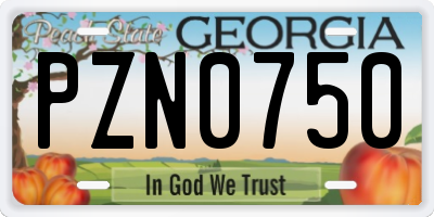 GA license plate PZN0750