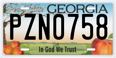GA license plate PZN0758
