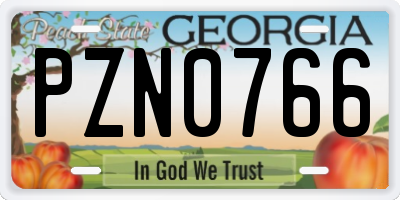 GA license plate PZN0766