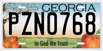 GA license plate PZN0768