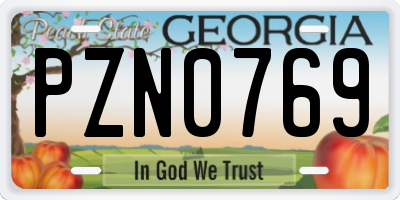 GA license plate PZN0769