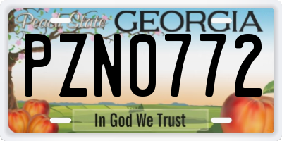 GA license plate PZN0772