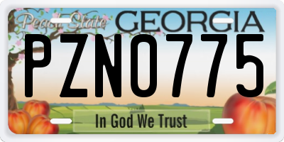 GA license plate PZN0775