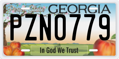 GA license plate PZN0779